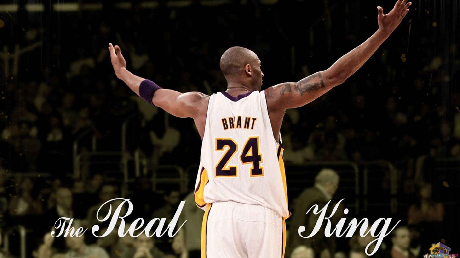 詹姆斯带伤作战仍砍下高分，詹姆斯出战